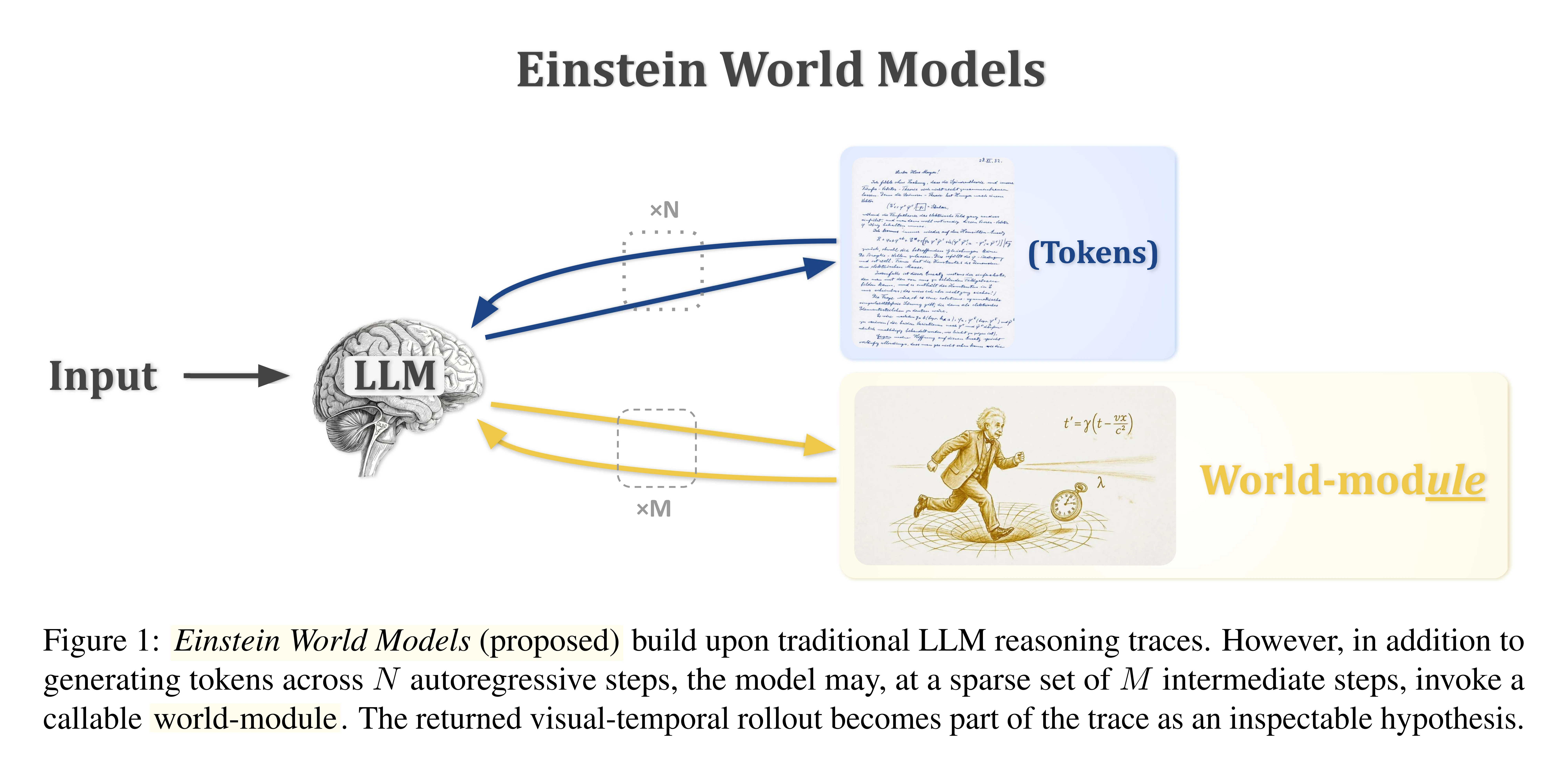 Einstein World Models